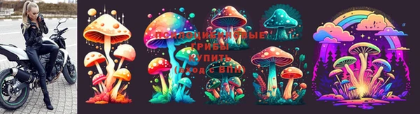 трава Корсаков