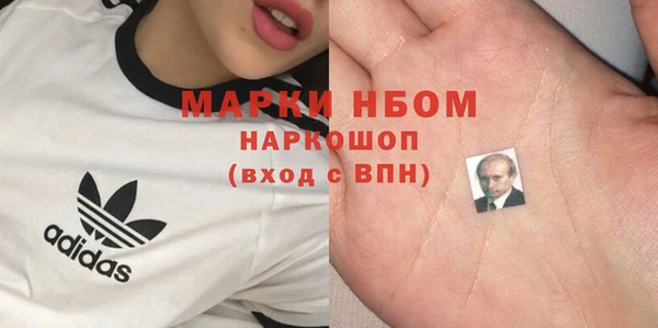 амф Коряжма