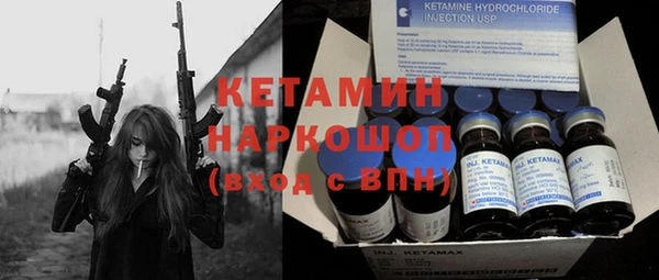 трава Корсаков
