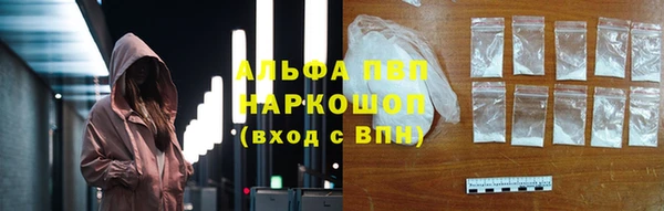 амф Коряжма