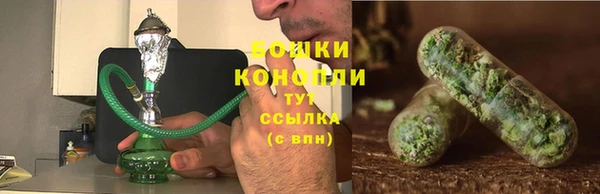 твердый Костерёво