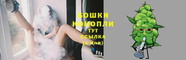 трава Корсаков