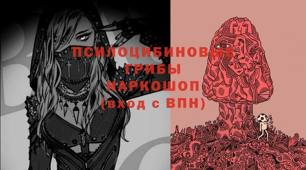 трава Корсаков