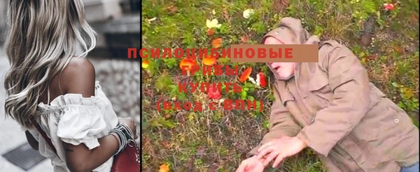 трава Корсаков