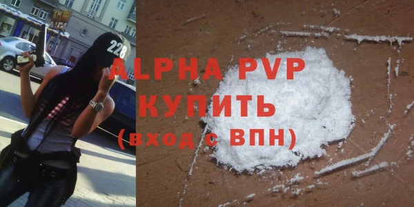трава Корсаков