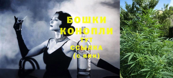 трава Корсаков