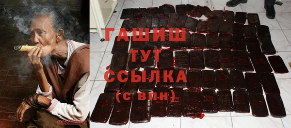 трава Корсаков
