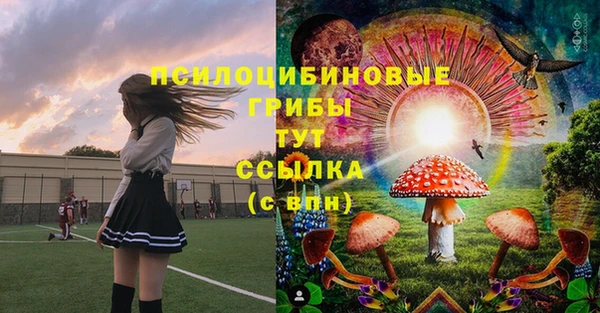 амф Коряжма