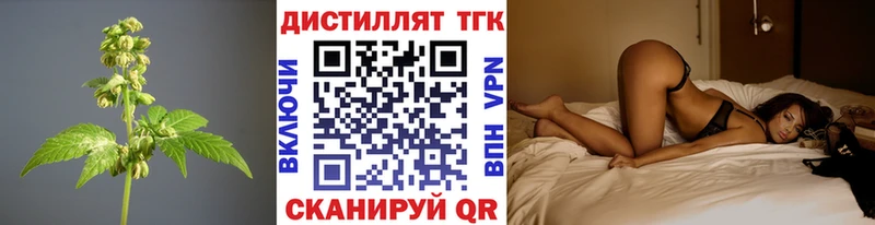 как найти   Палласовка  ТГК концентрат 